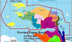 Provinsi Papua Barat Daya