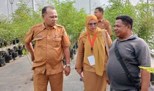 Tim Pengendalian Inflasi Daerah (TPID) Kota Tidore Kepulauan dibawah Koordinator Staf Ahli Wali Kota Bidang Ekonomi Pembangunan dan Keuangan Abdul Hakim Adjam melakukan pemantauan tanaman cabai atau rica.