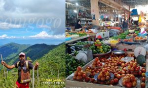 Petani Abdullah Muhammad (Om Gogo) di kebun tomat Kelurahan Gurabunga Tidore dan suasana pasar Gosalaha Kota Tidore