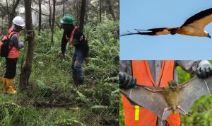 Pemasangan Camera Trap untuk Mendokumentasikan Flora dan Fauna di Sekitar Area Operasional Perusahaan.