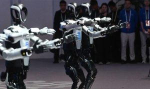 Robot Humanoid