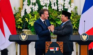 Kerja Sama Budaya